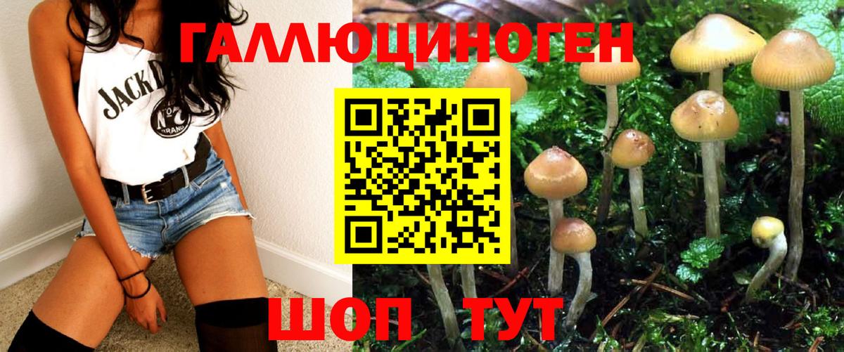 Гудермес  Псилоцибиновые грибы Magic Shrooms  Вход с VPN 